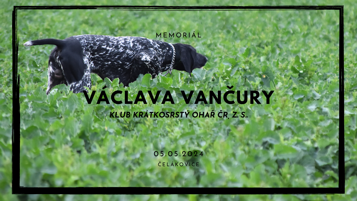Memorial Vaclava vancury