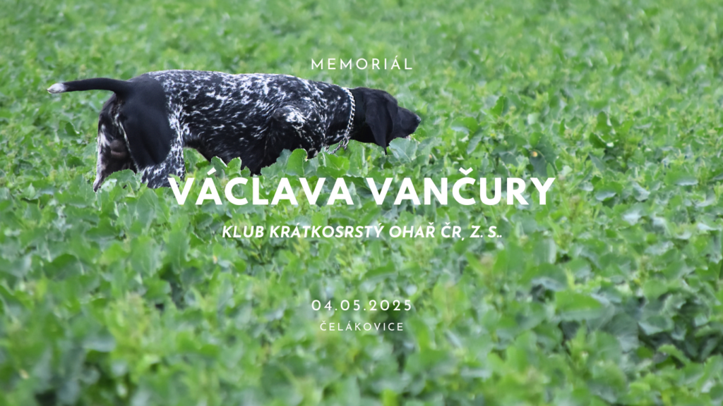 Memorial Vaclava vancury