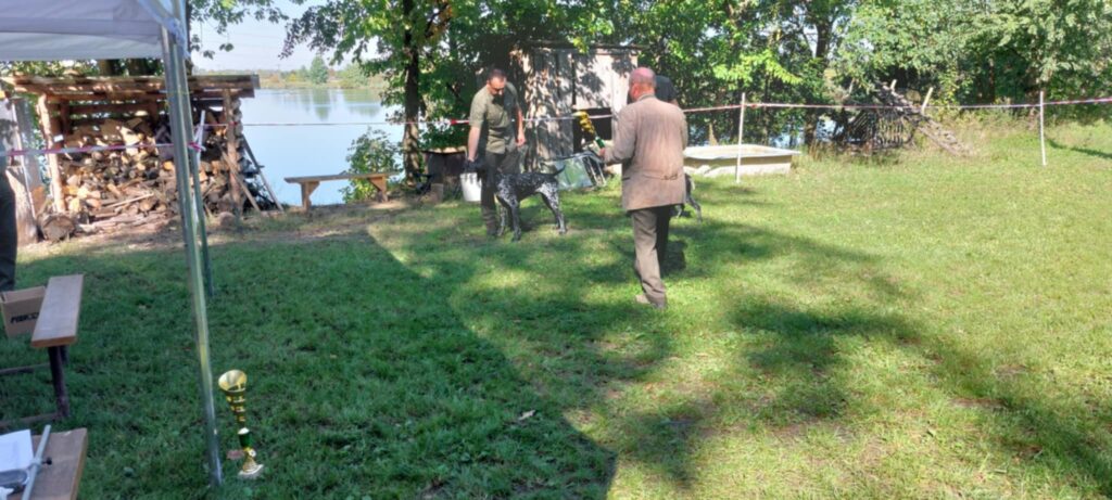OKV vitez vystavy